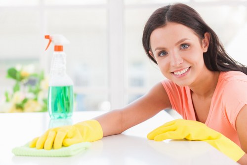 Oven cleaning technician preparing a transparent quote for a Kensington home