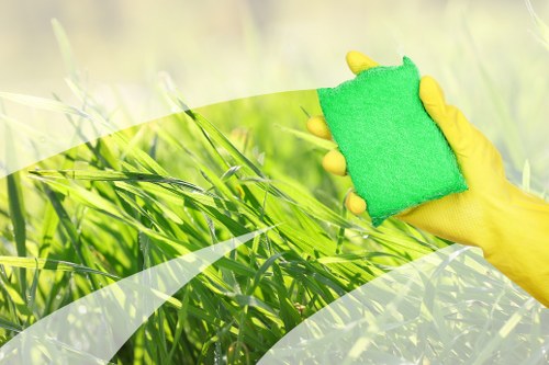 Professional upholstery cleaning in Kensington for a fresh living room sofa