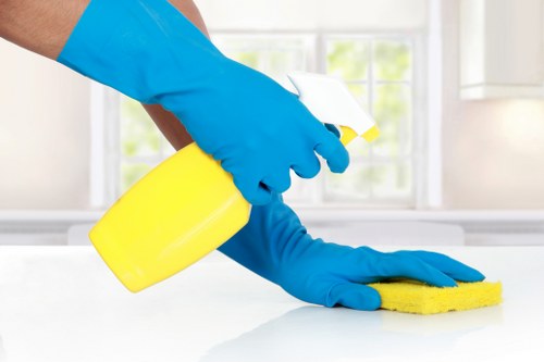 Professional hard floor cleaning in Kensington for polished stone floors