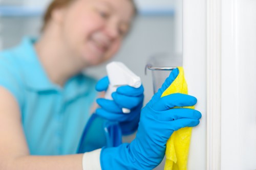Professional oven cleaning in a Kensington home kitchen