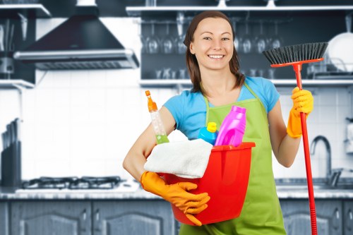 Regular domestic cleaning in Kensington supporting a fresh household