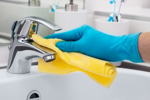 Cleaner preparing an oven cleaning service at a property